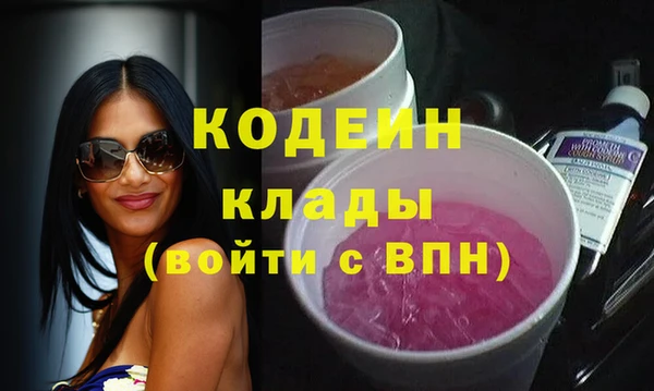 индика Сясьстрой
