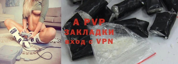 ГАЛЛЮЦИНОГЕННЫЕ ГРИБЫ Тавда