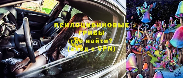 метадон Белокуриха