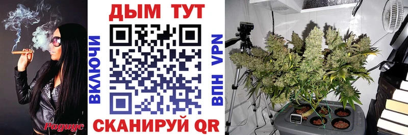 как найти наркотики  Верхотурье  Бошки марихуана марихуана 